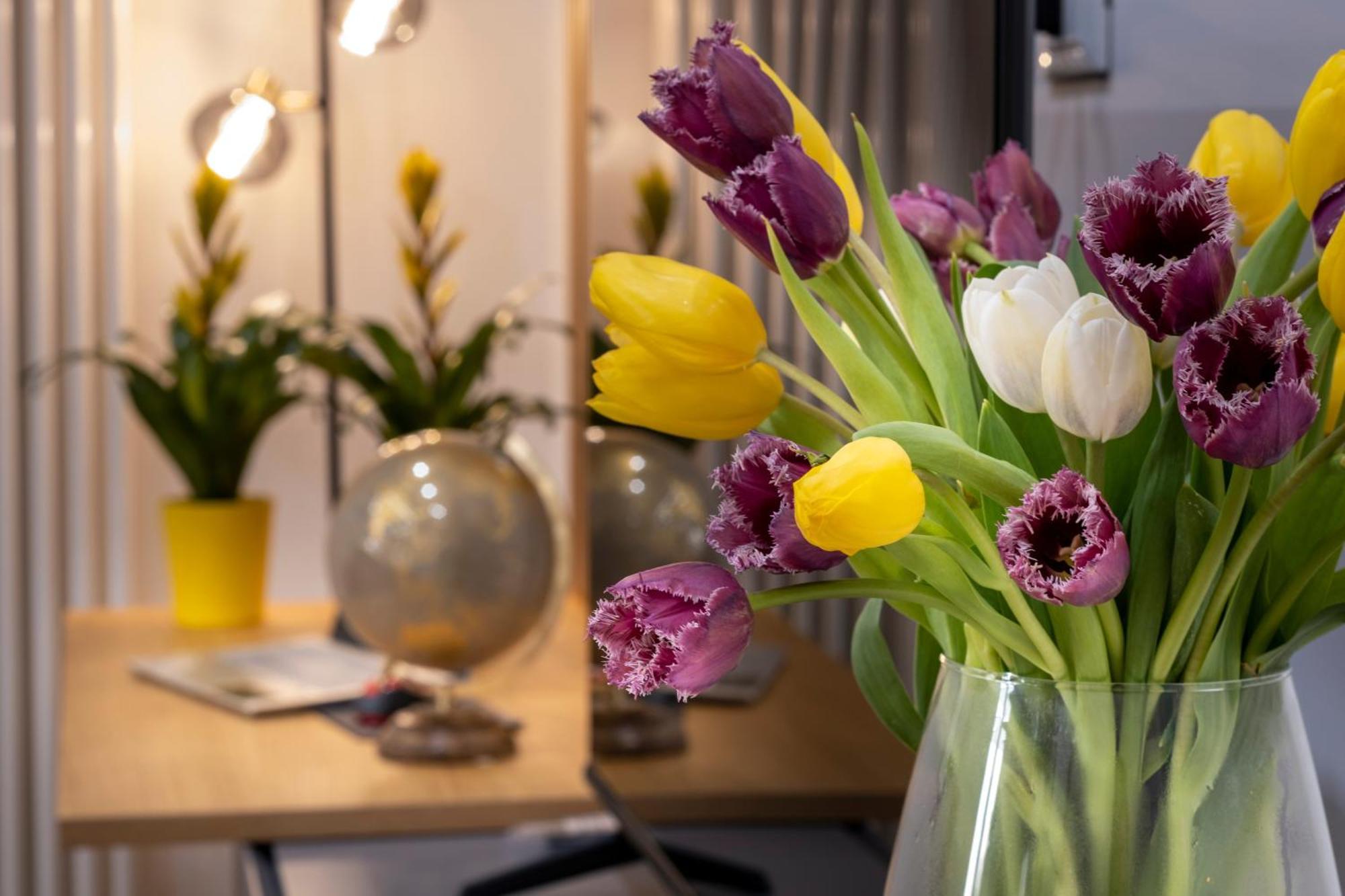 Ducrot Apartment 팔레르모 외부 사진